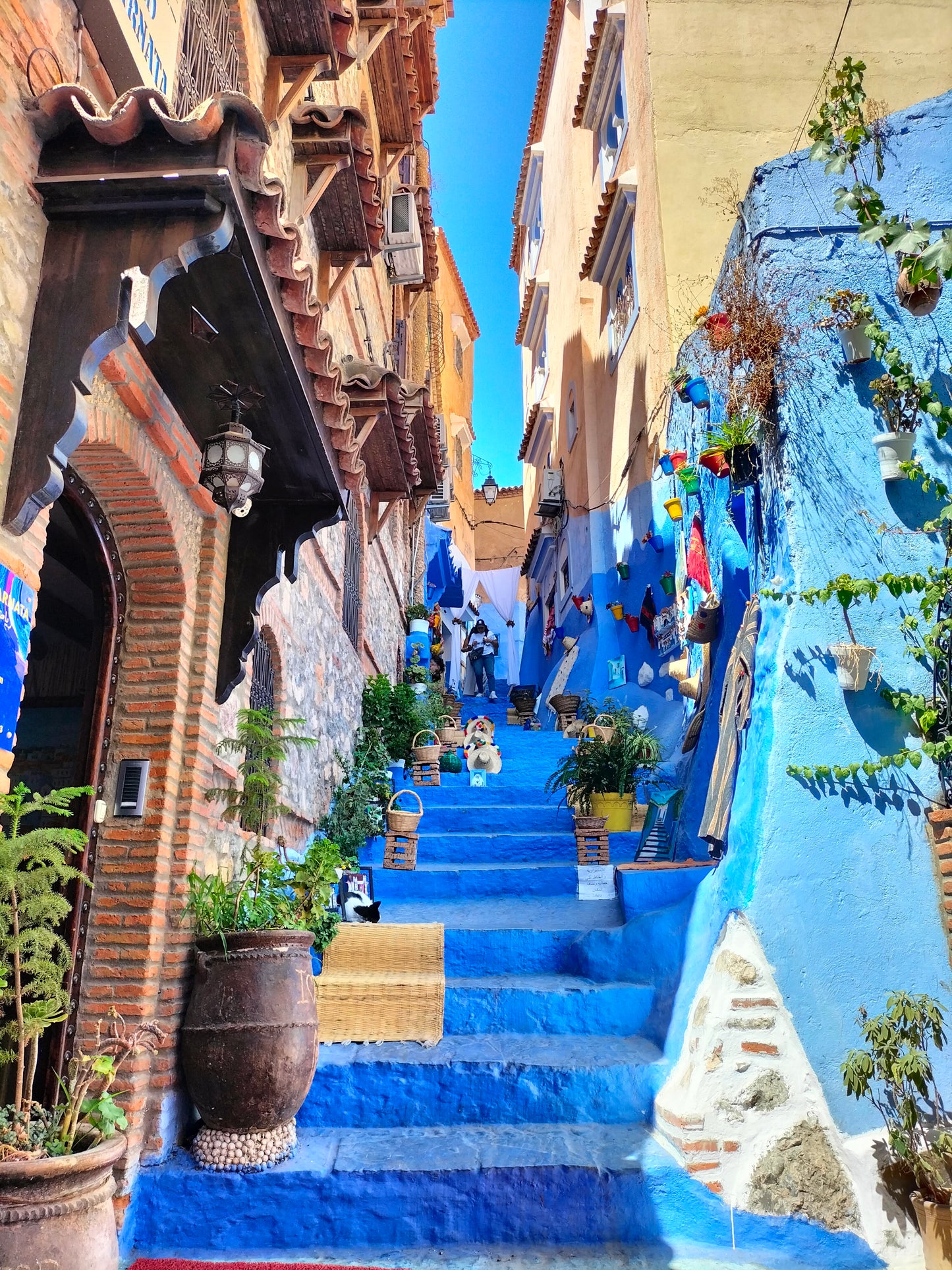 Fez: Aventura de un día a la Ciudad Azul de Chefchaouen