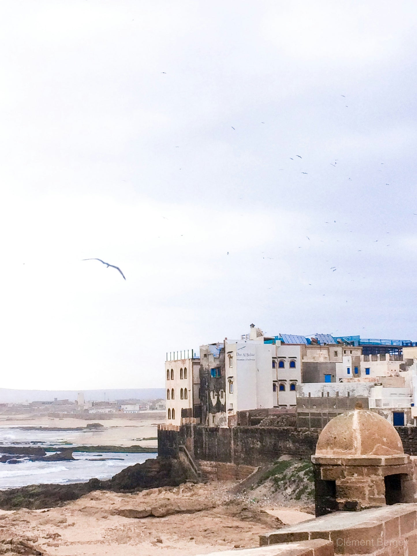 Marrakech: Excursión guiada de un día a Essaouira con visita a la Cooperativa