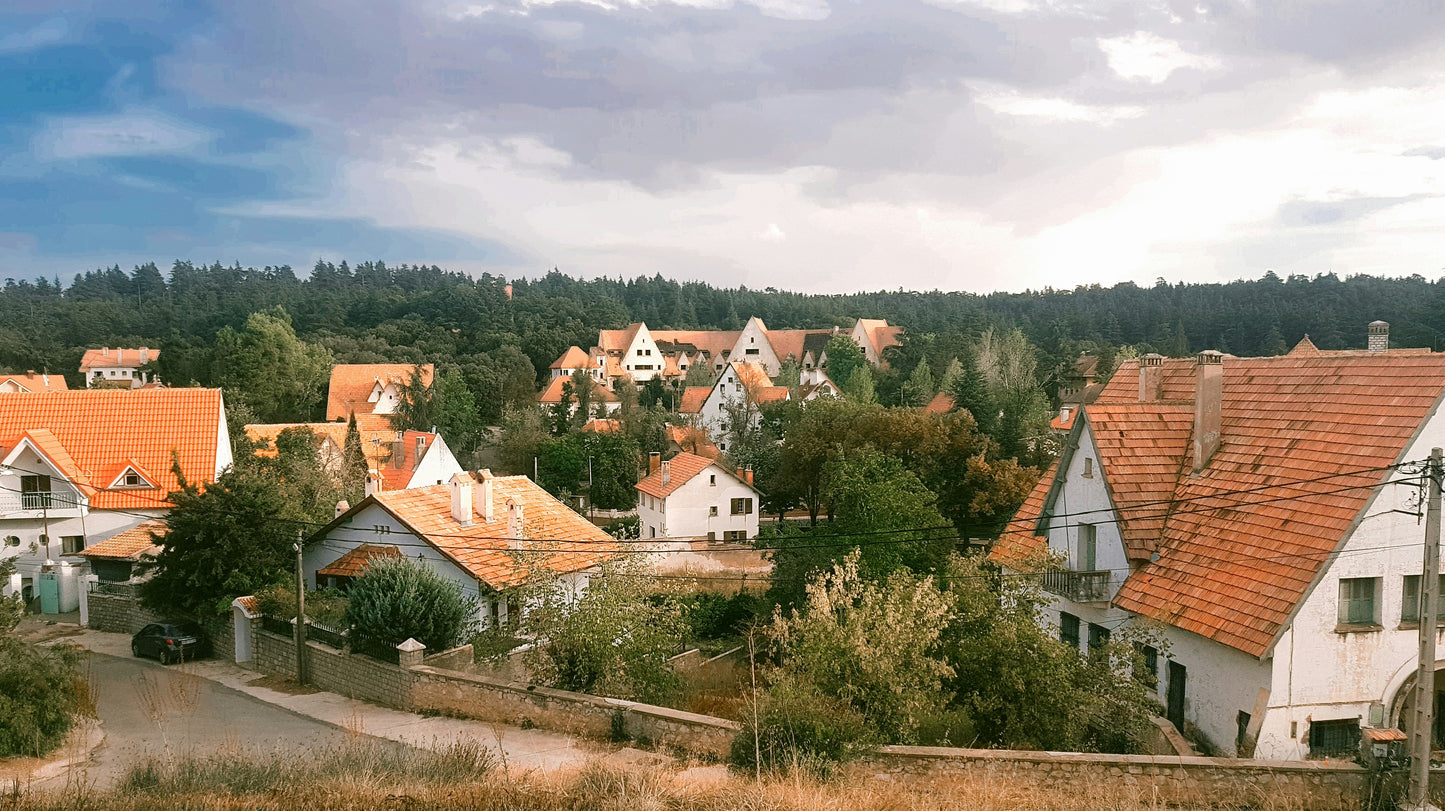 Fez: Ruta por el Atlas Medio, Ifrane y Encuentro Bereber