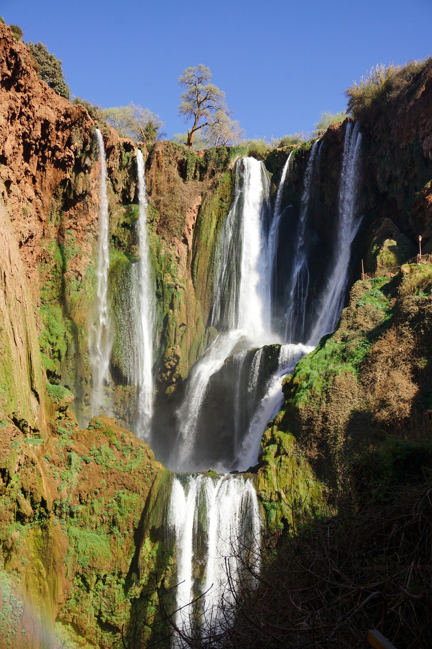 Marrakech: Excursión de un día a las Cataratas de Ouzoud