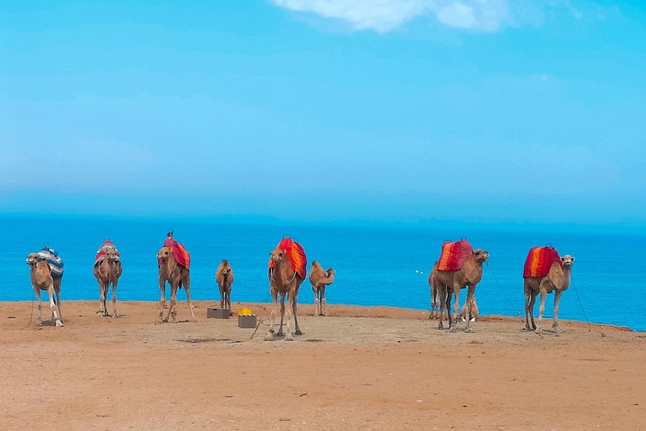 Tánger: Tour panorámico por Cap Spartel y Cuevas de Hércules con paseo en camello