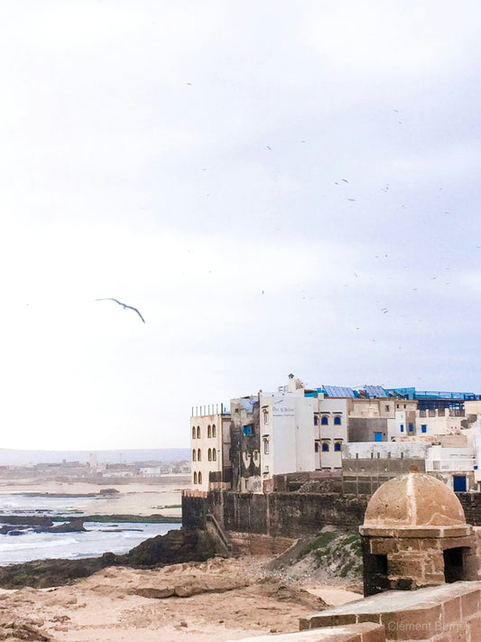 Marrakech: Excursión guiada de un día a Essaouira con visita a la Cooperativa
