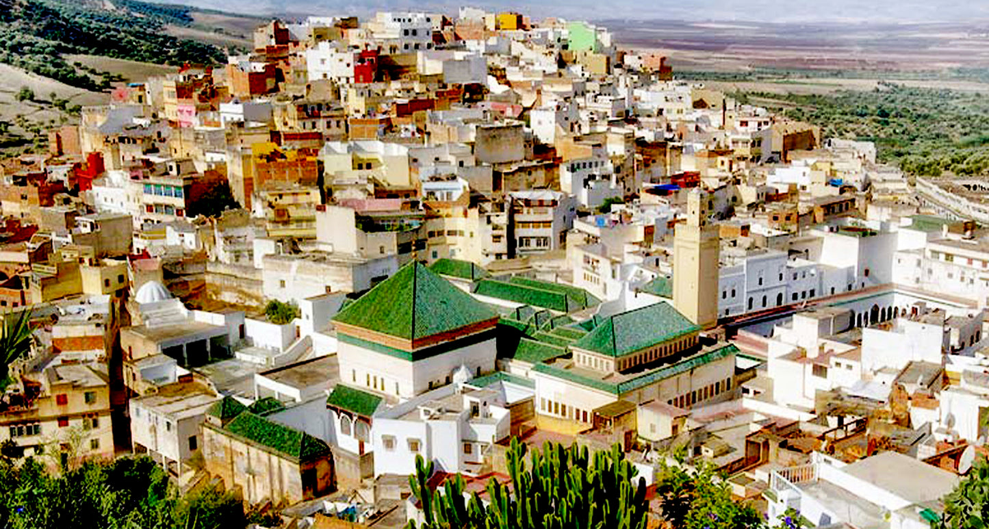 Fez: Excursión de un Día a Volubilis, Moulay Idriss y Meknes