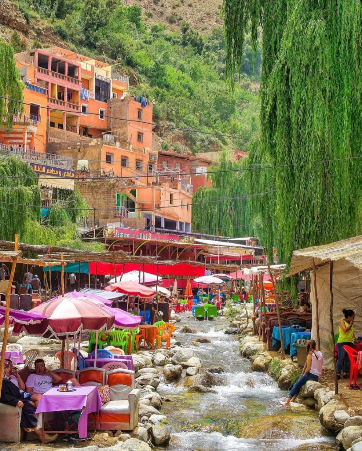 Marrakech: Excursión de un día al Valle de Ourika